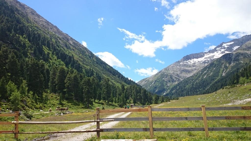 Hotel Eckartauerhof Mayrhofen Εξωτερικό φωτογραφία
