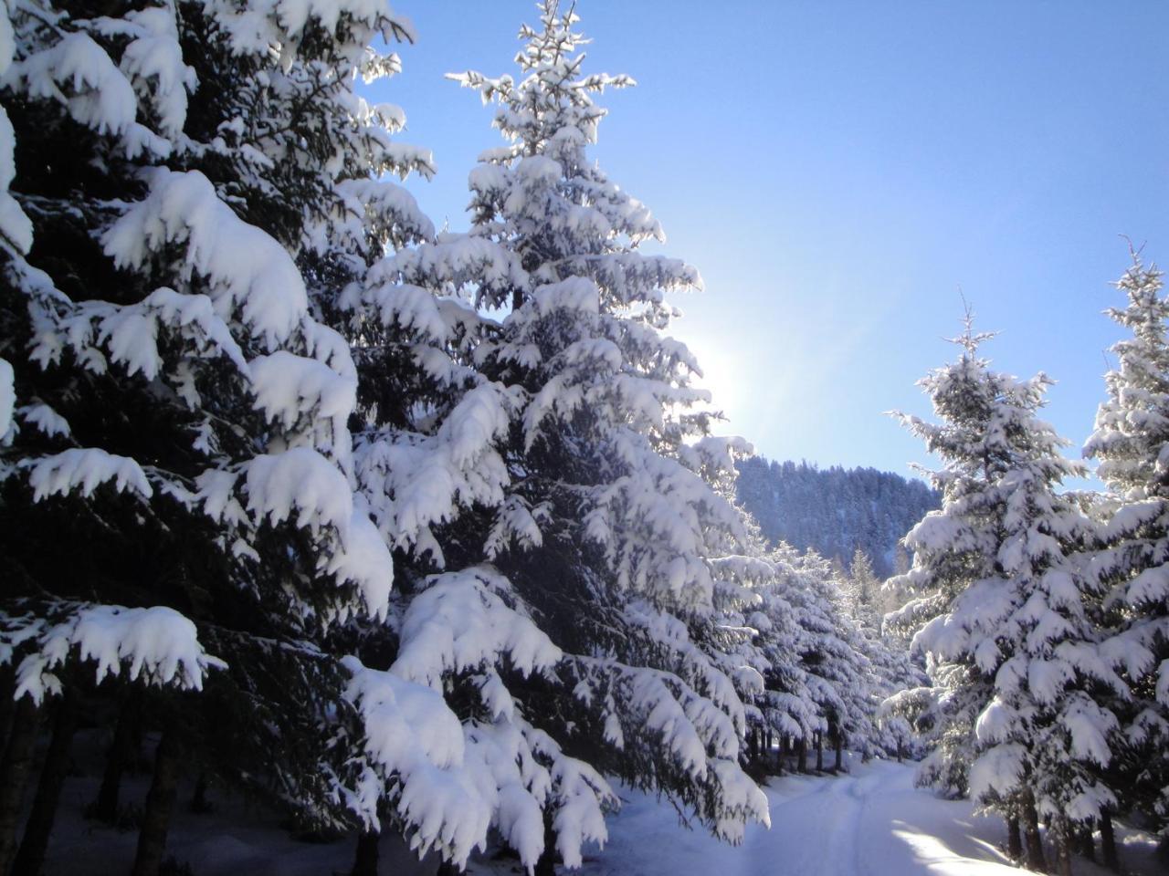 Hotel Eckartauerhof Mayrhofen Εξωτερικό φωτογραφία